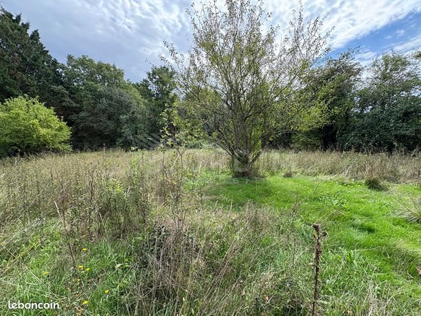 Maison à vendre, 114m², Etais-la-Sauvin