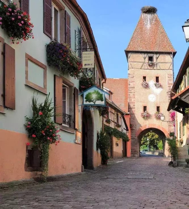 Maison à vendre, 428m², Ammerschwihr