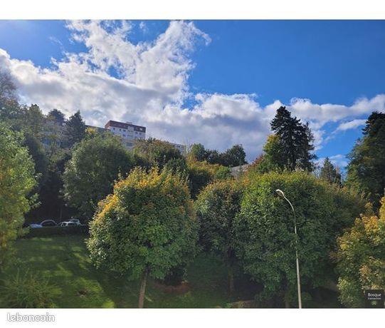 Appartement à vendre, 76m², Saint-Etienne