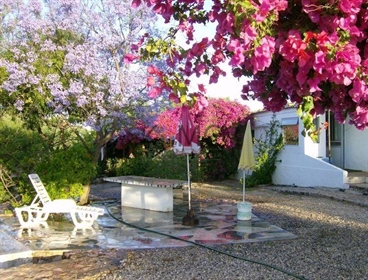 For sale Quinta in Santa Margarida