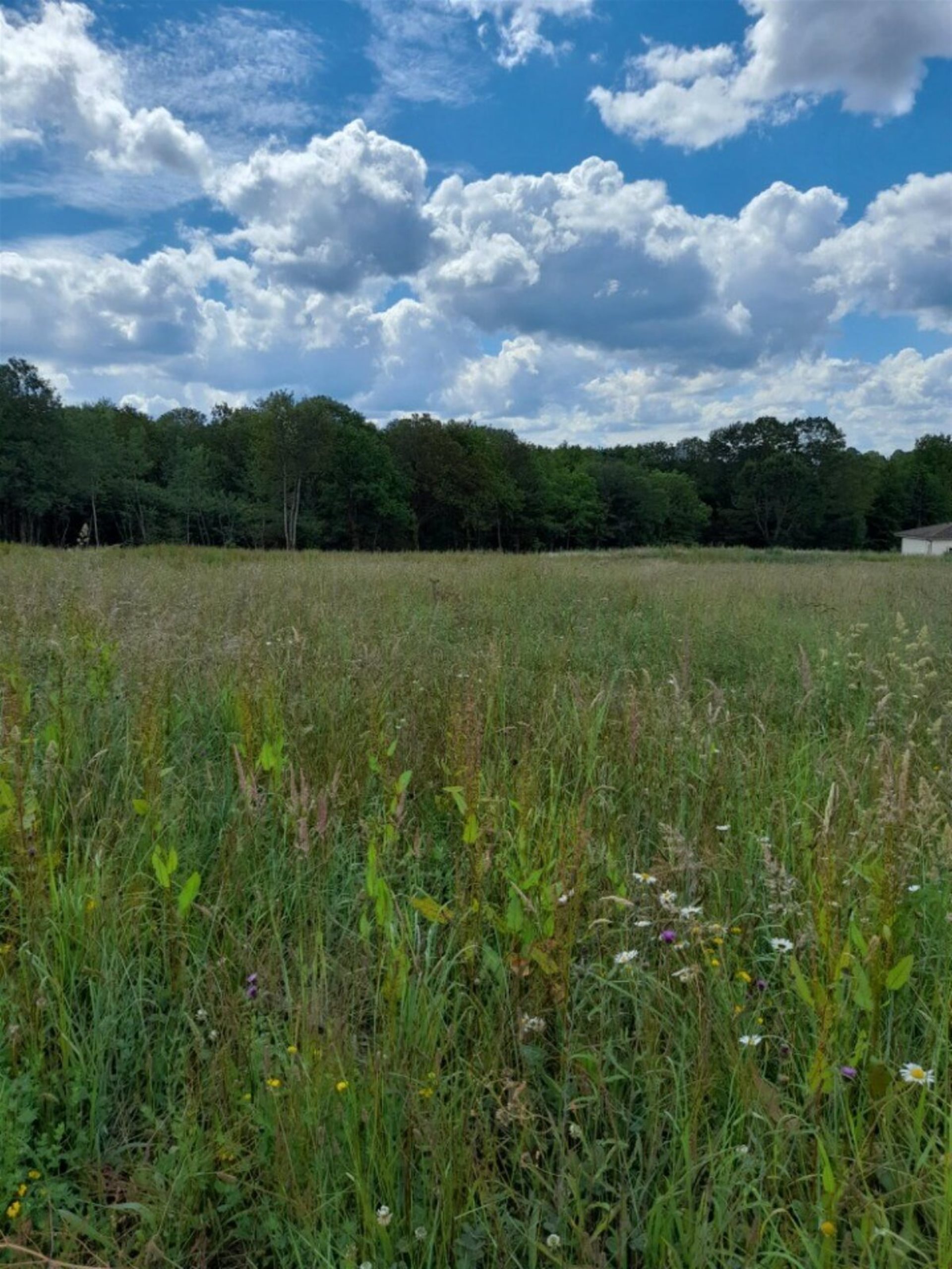 Maison à vendre, 107m², Le Vigen