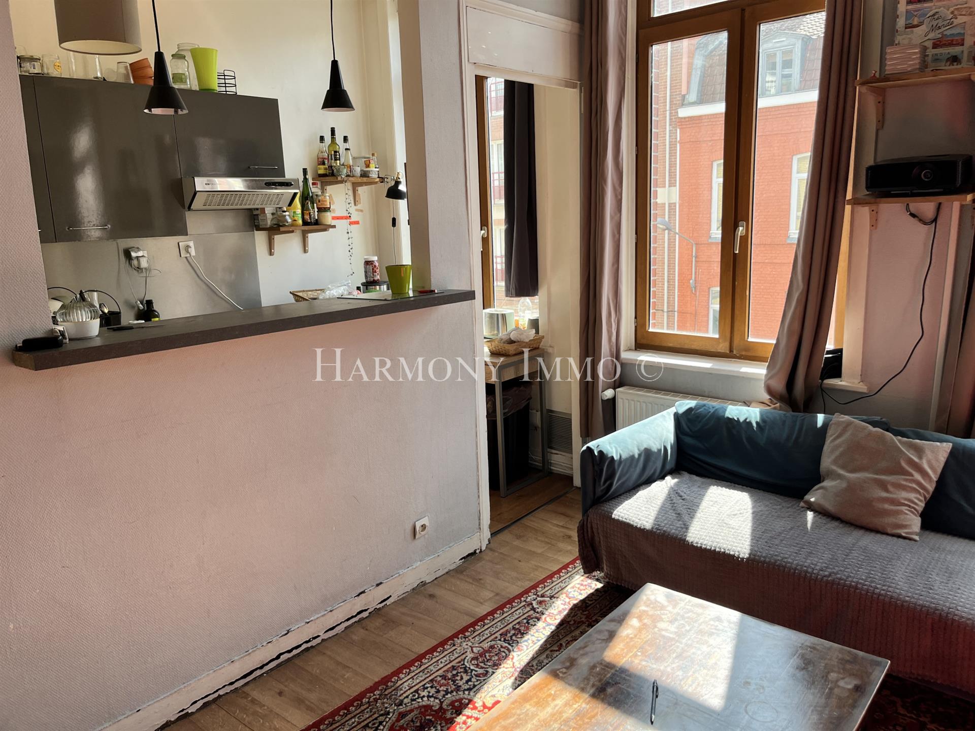 Maison à vendre, 160m², Lille