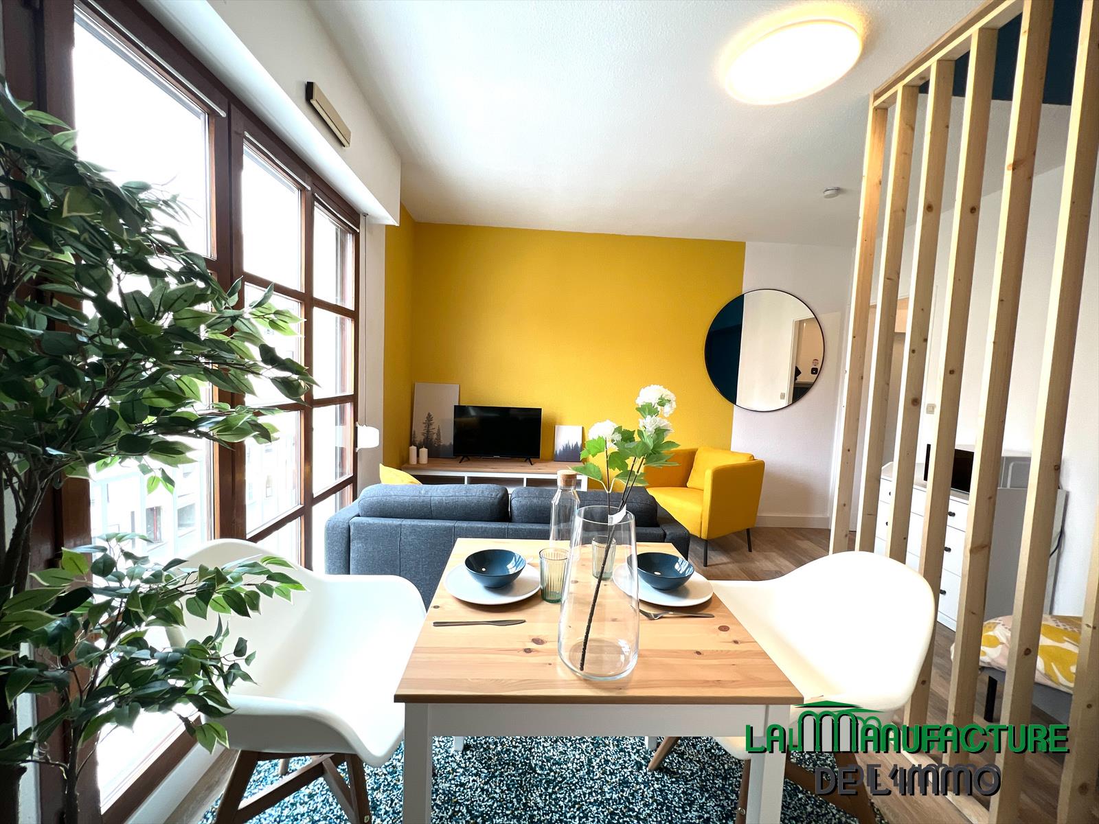 Appartement à louer, 25m², Saint-Etienne