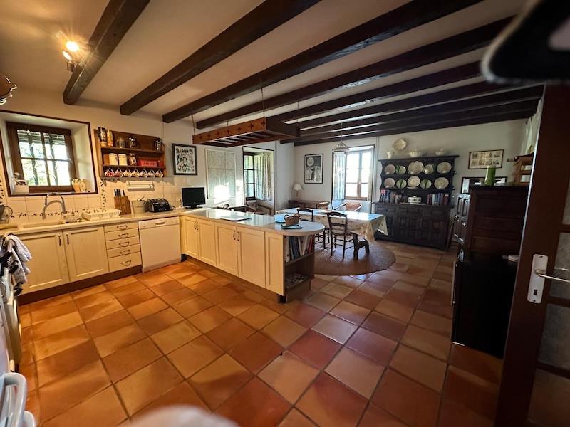 Beautiful house with swimming pool. House with garden, cottage and swimming pool