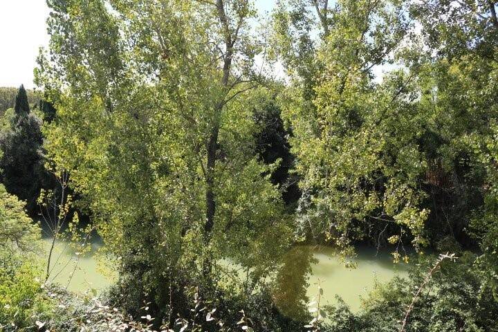 Appartement à louer, 68m², Montpellier