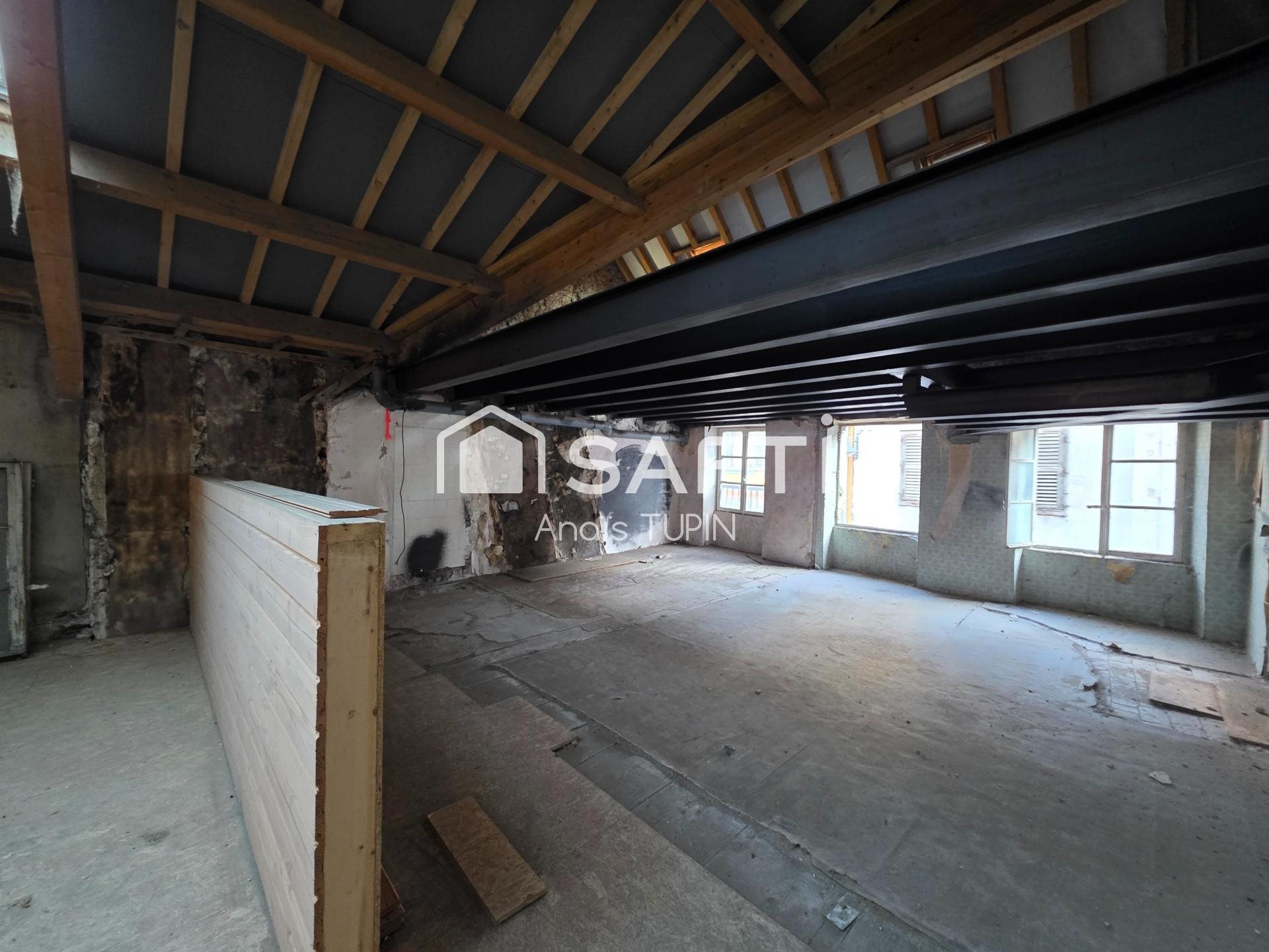 Appartement à vendre, 300m², Salins-les-Bains