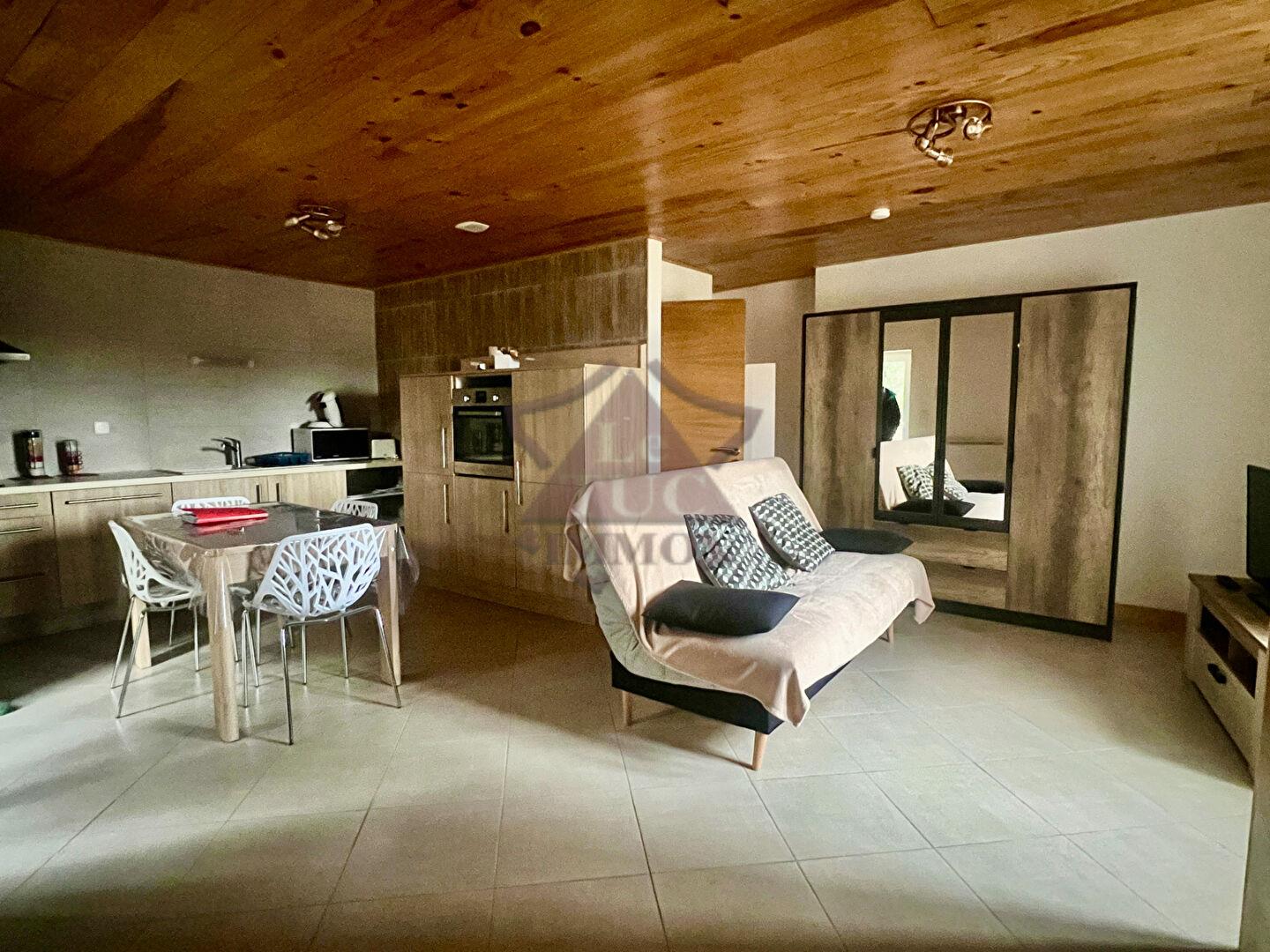 Appartement à louer, 50m², Gagnières