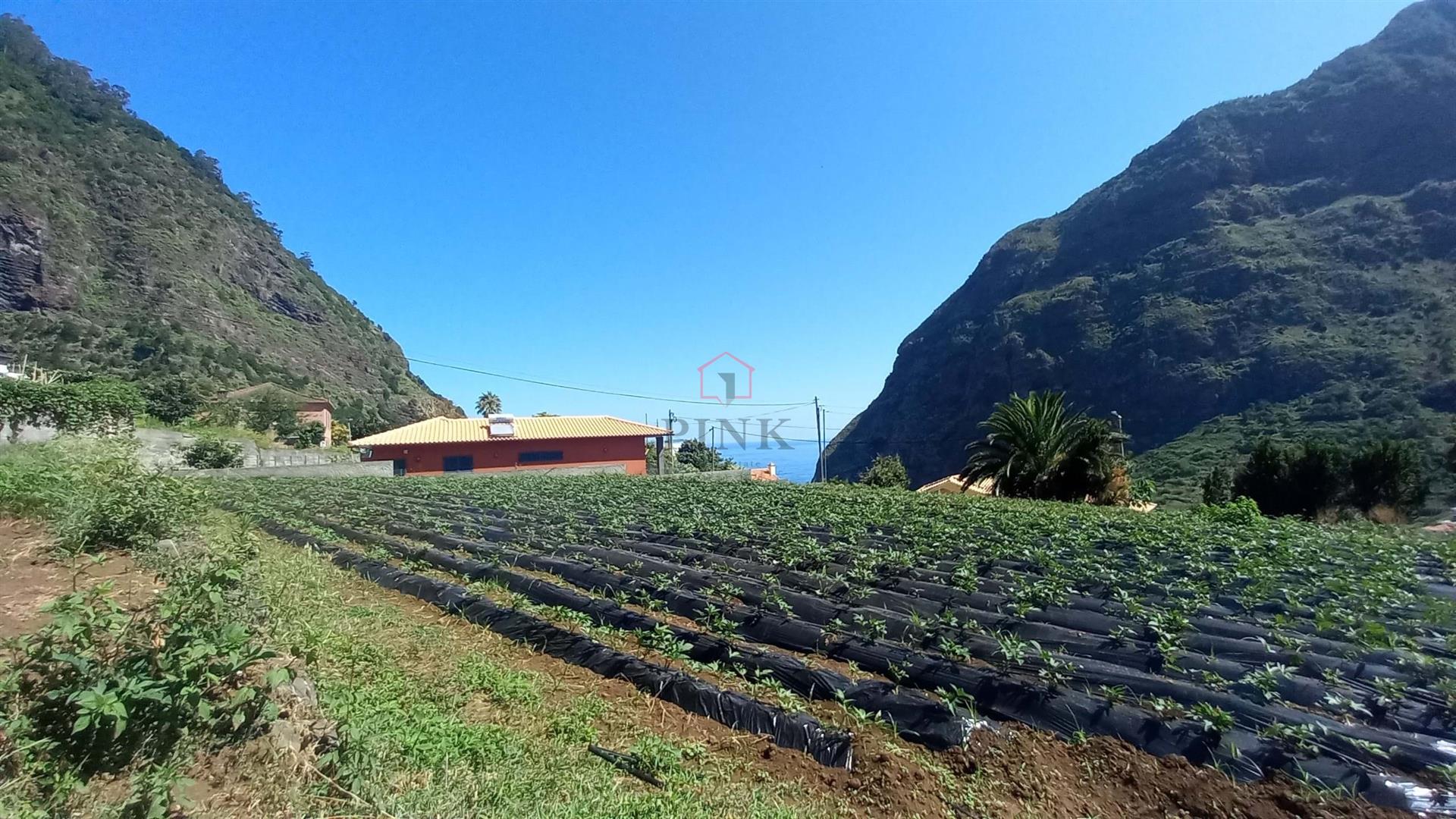 Terrain du projet - 1458m2 - São Vicente