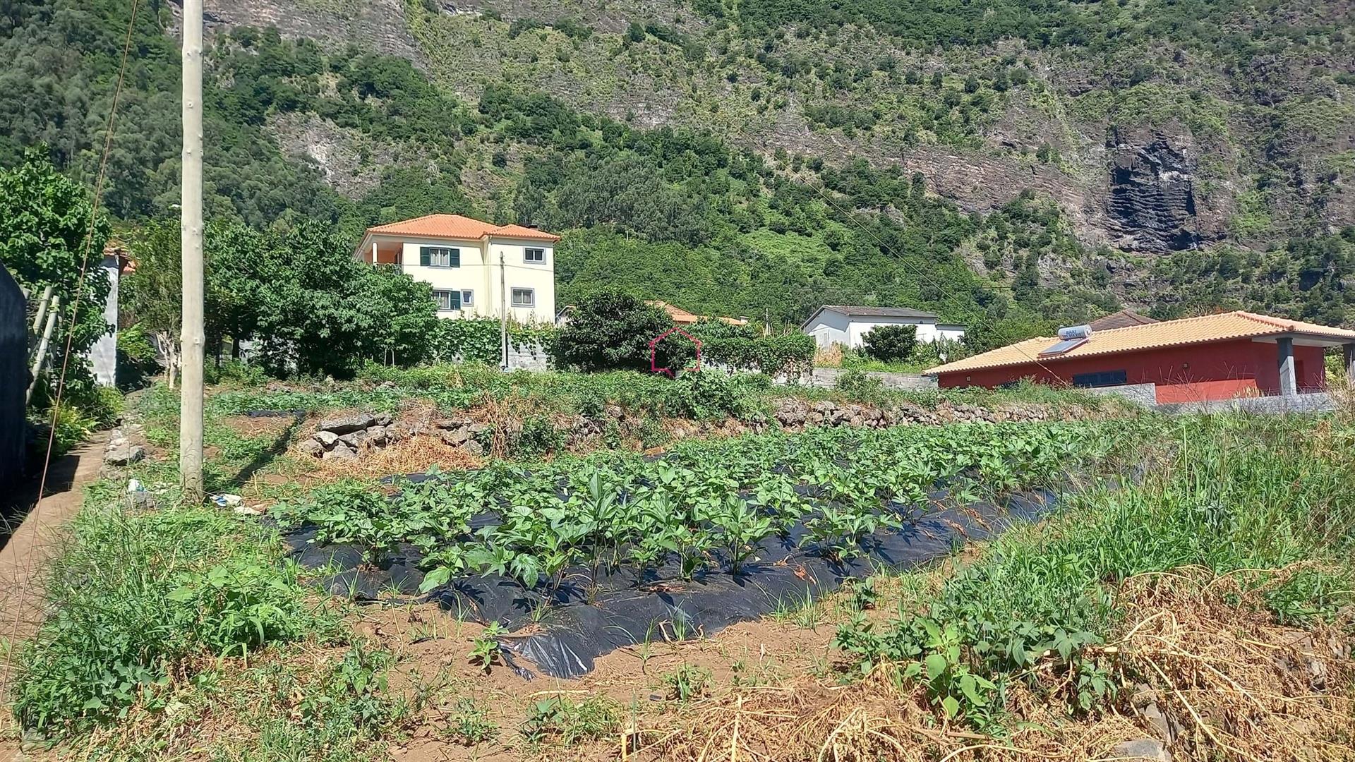 Terrain du projet - 1458m2 - São Vicente