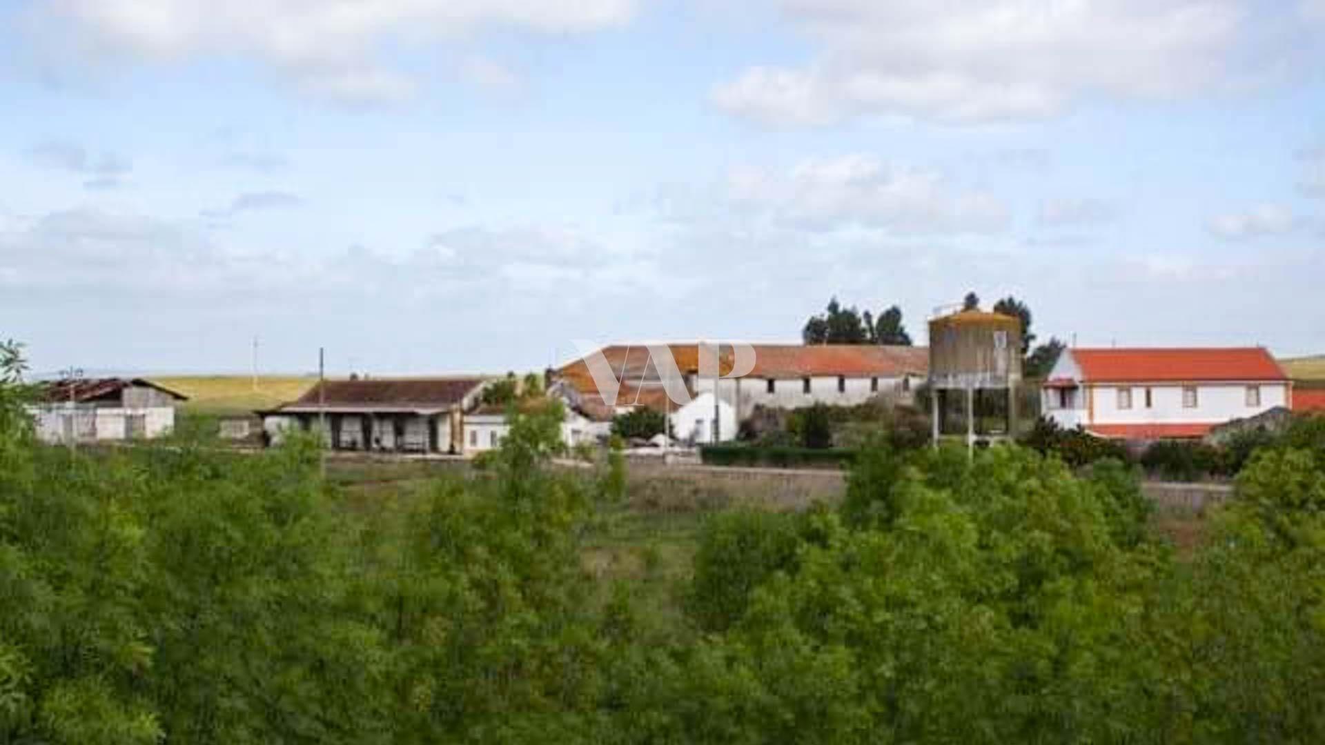 Viana Do Alentejo - 2 Ruin Warehouses
