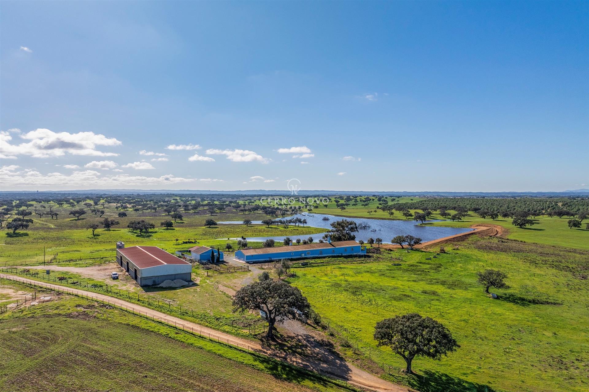 Estate with Great Agricultural and Tourist Potential in Baixo Alentejo