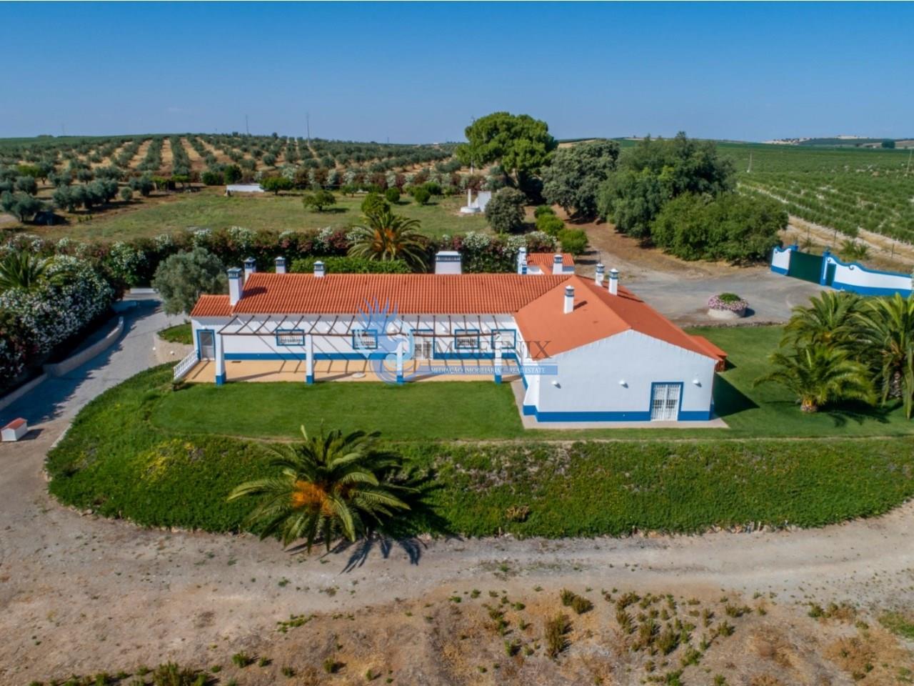 Homeowner in Alentejo, with private airfield, Beja, Ferreira do Alentejo