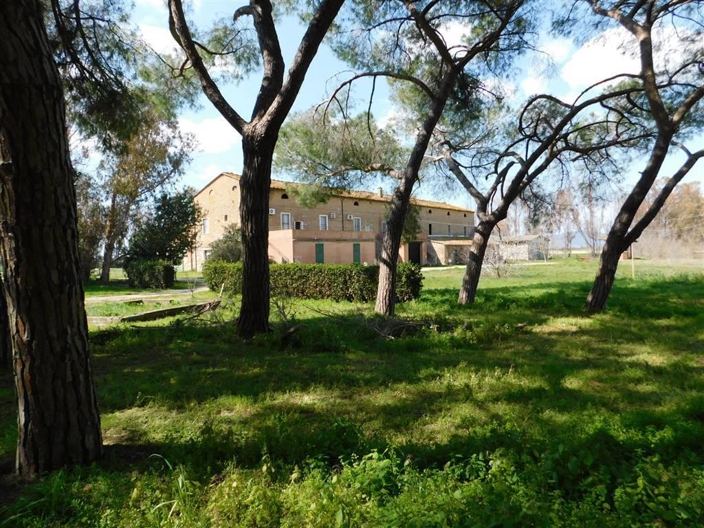 10 Bedrooms - Farmhouse - Tuscany - For Sale - A7631taa