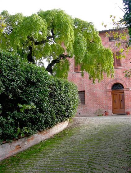 2 Bedrooms - House independent - Umbria - For Sale - A1190rv87953