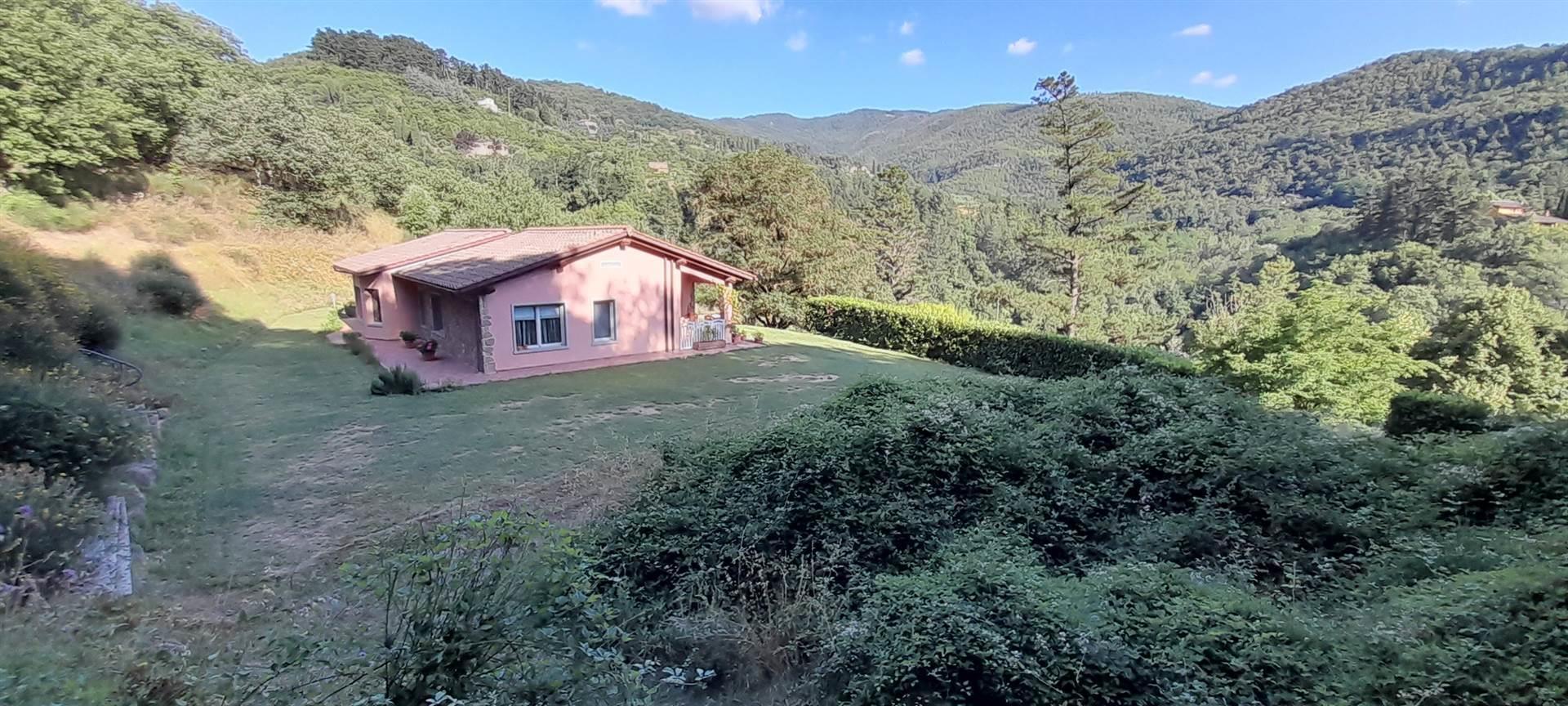 4 Bedrooms - Villa - Tuscany - For Sale - A6273rva