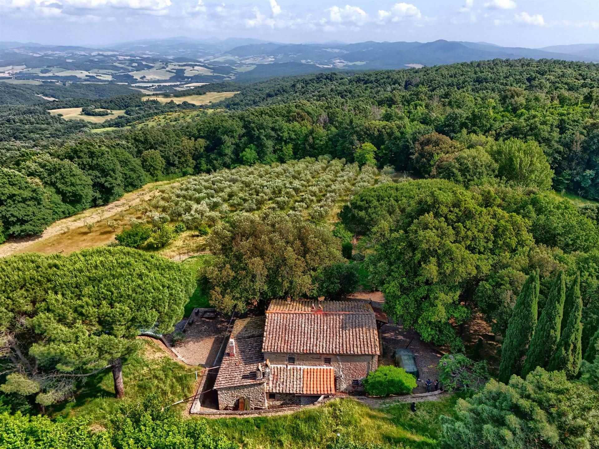 2 Bedrooms - Farmhouse - Tuscany - For Sale - A3165taa