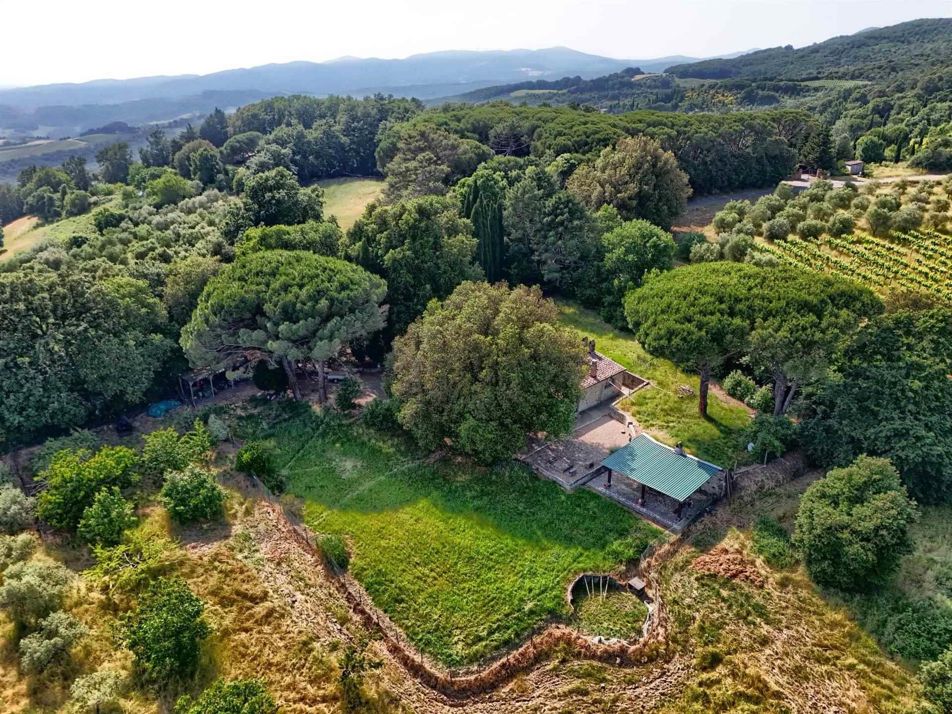 2 Bedrooms - Farmhouse - Tuscany - For Sale - A3165taa