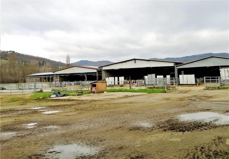 1 Bedroom - Farmhouse - Umbria - For Sale - A6380taa