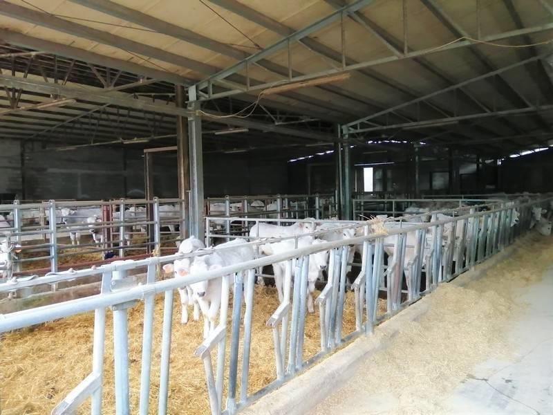 1 Bedroom - Farmhouse - Umbria - For Sale - A6380taa