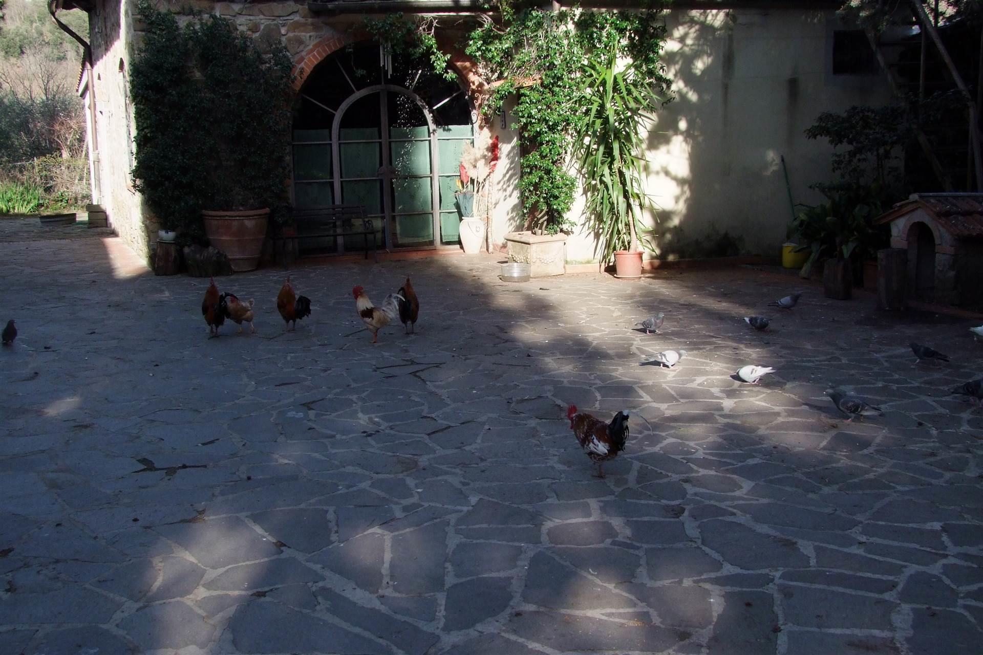 2 Bedrooms - Rustic House - Tuscany - For Sale - A6273rca