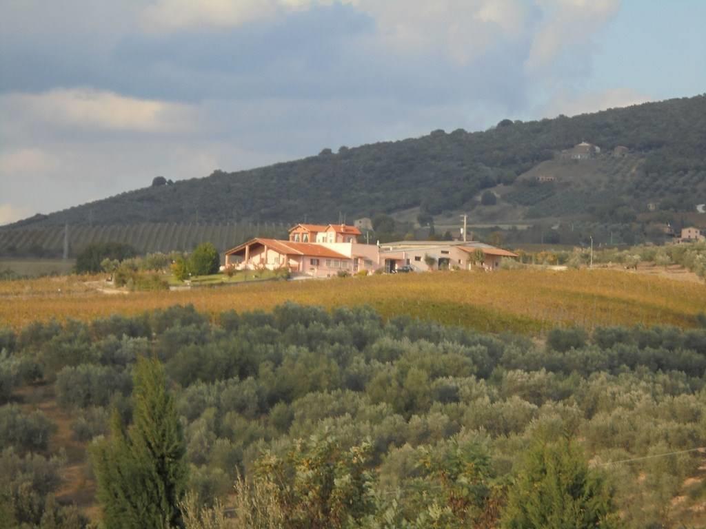 1 Bedroom - Farmhouse - Umbria - For Sale - A6380taa