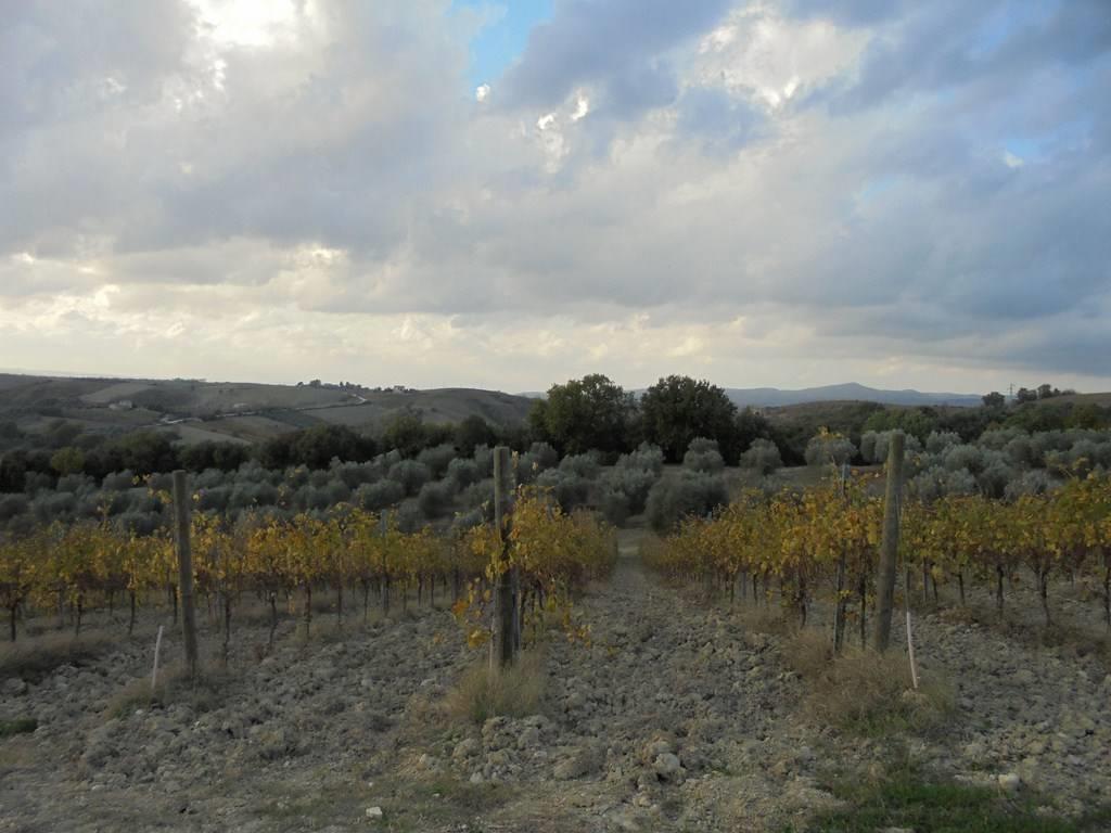 1 Bedroom - Farmhouse - Umbria - For Sale - A6380taa