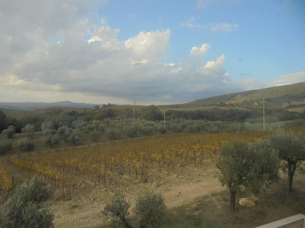 1 Bedroom - Farmhouse - Umbria - For Sale - A6380taa