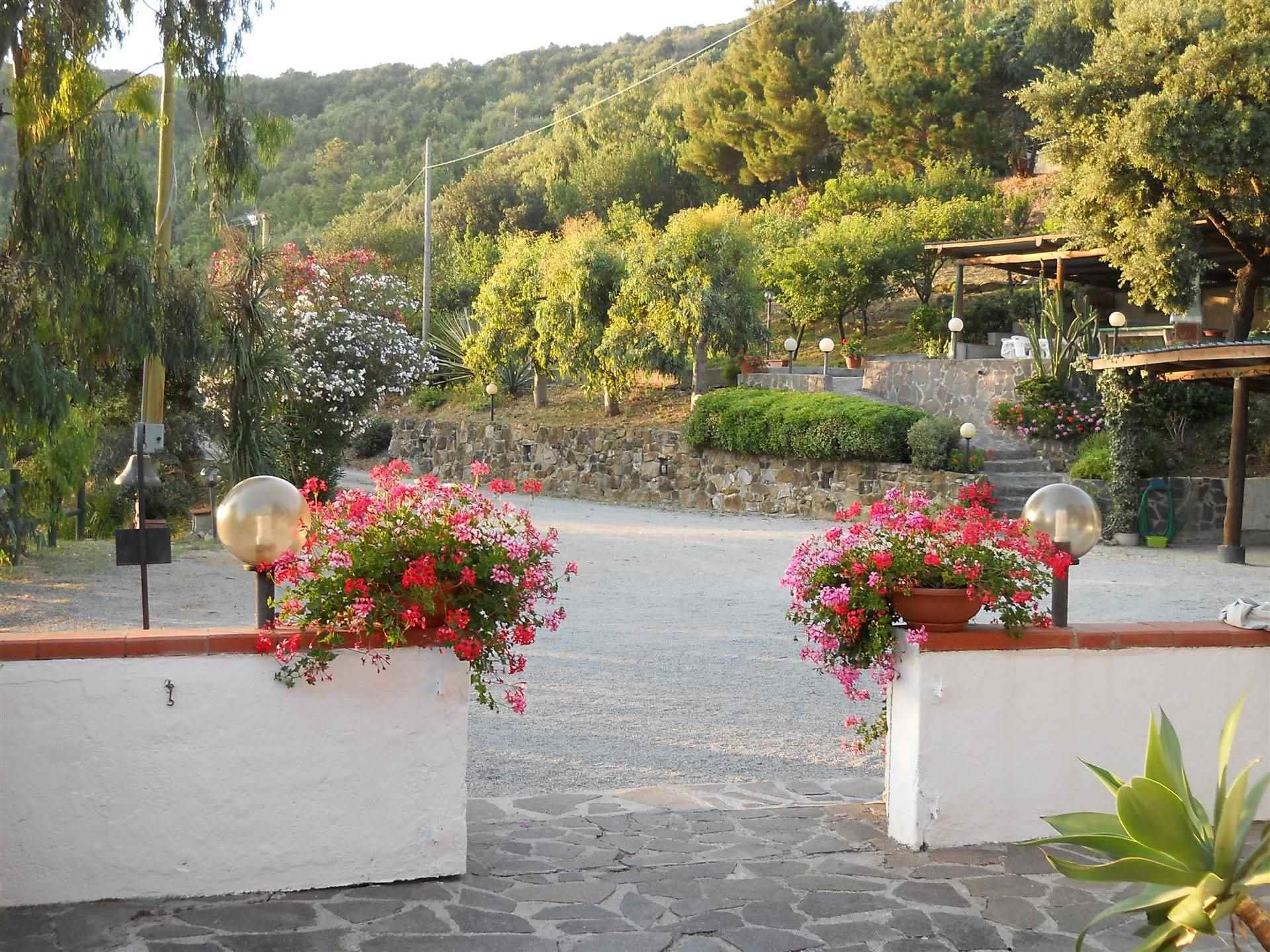 4 Bedrooms - Farmhouse - Tuscany - For Sale - A4018taa