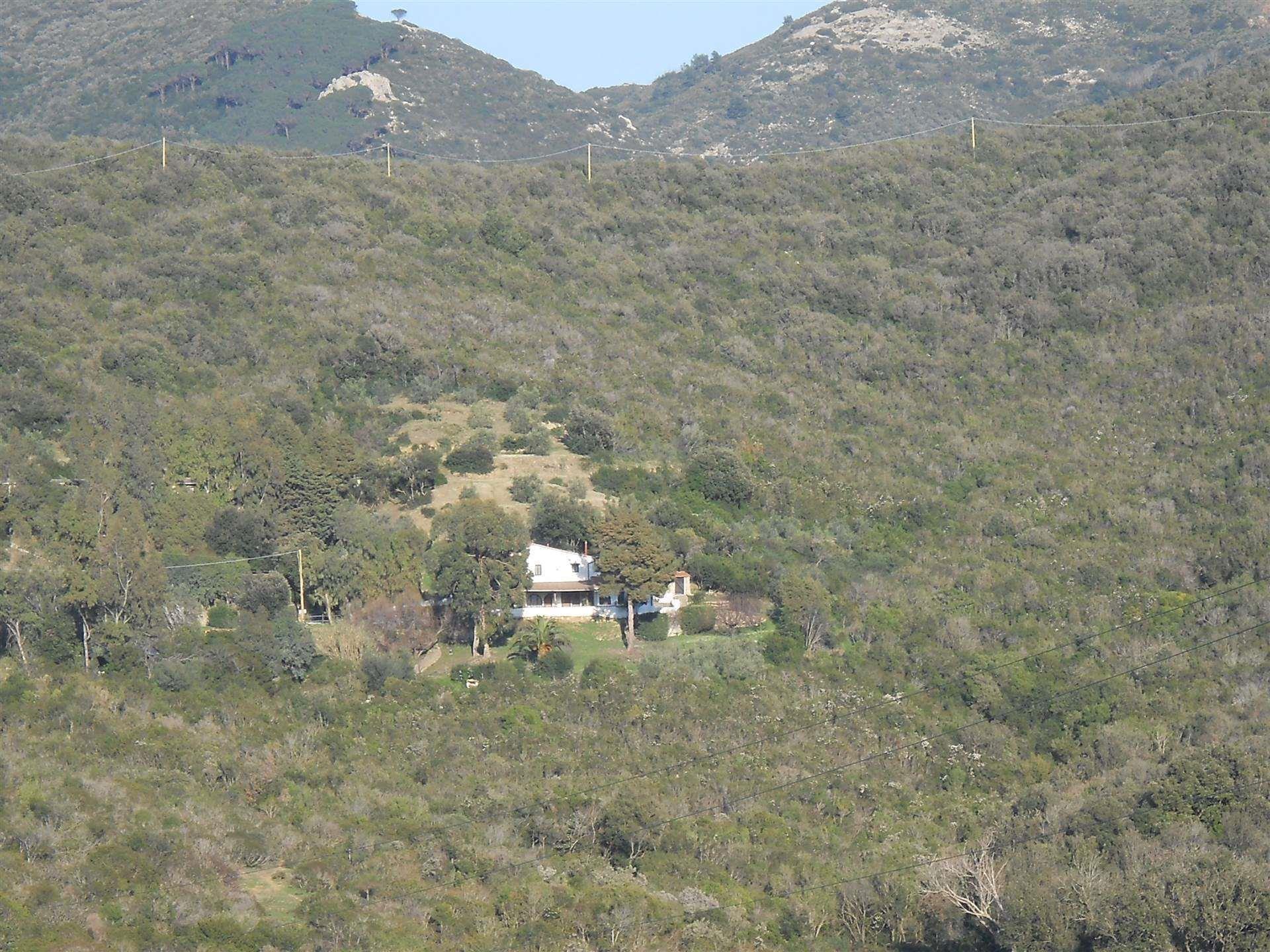 4 Bedrooms - Farmhouse - Tuscany - For Sale - A4018taa
