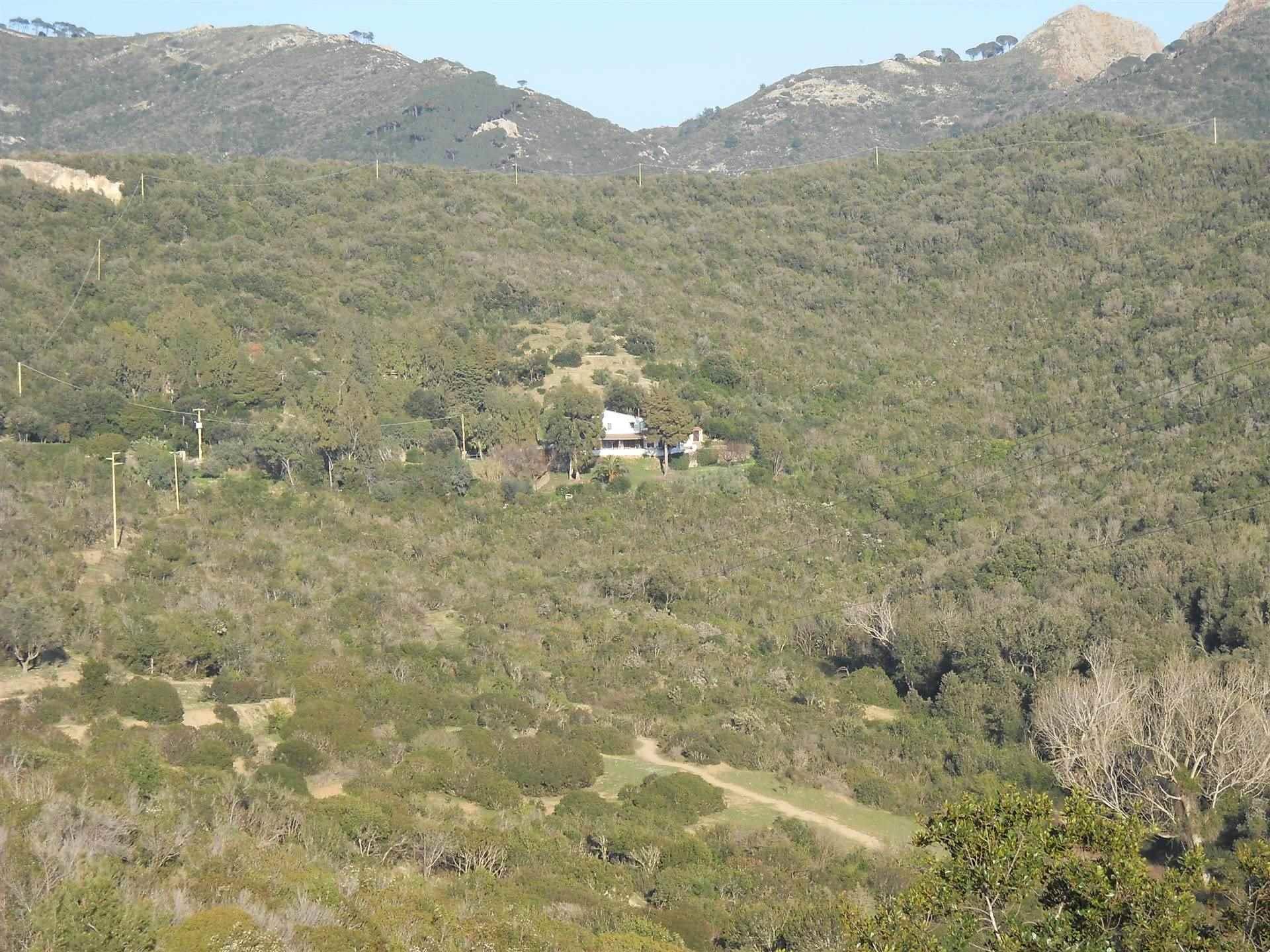 4 Bedrooms - Farmhouse - Tuscany - For Sale - A4018taa