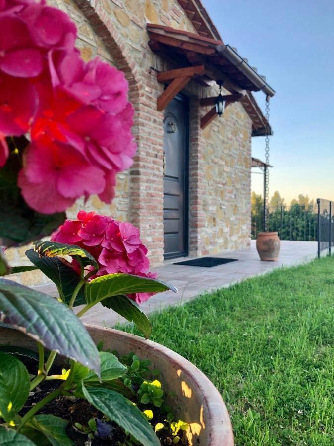 5 Bedrooms - Rustic Village - Tuscany - For Sale - A9591ab035