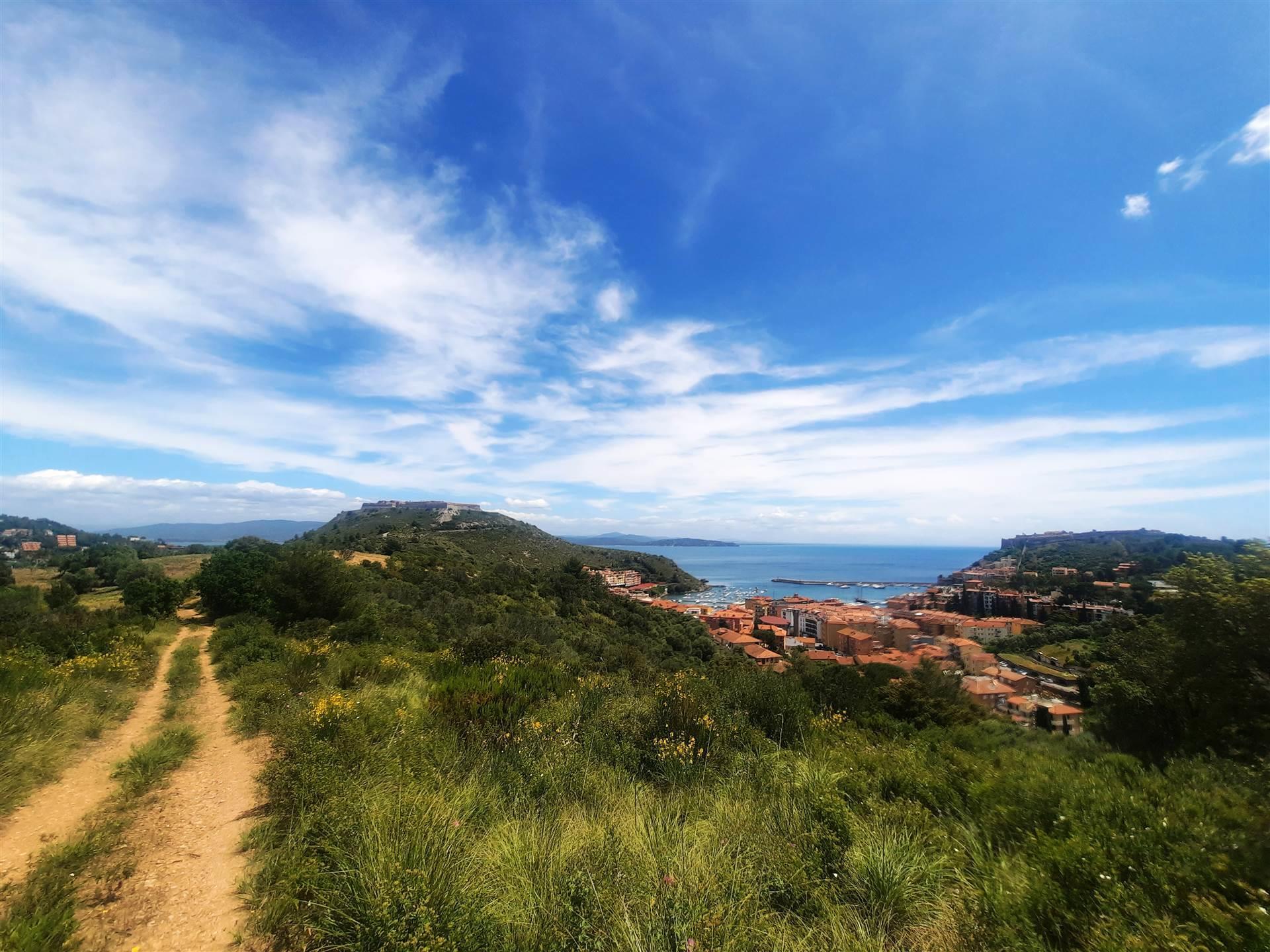 Land - Tuscany - For Sale - A1190tg14015