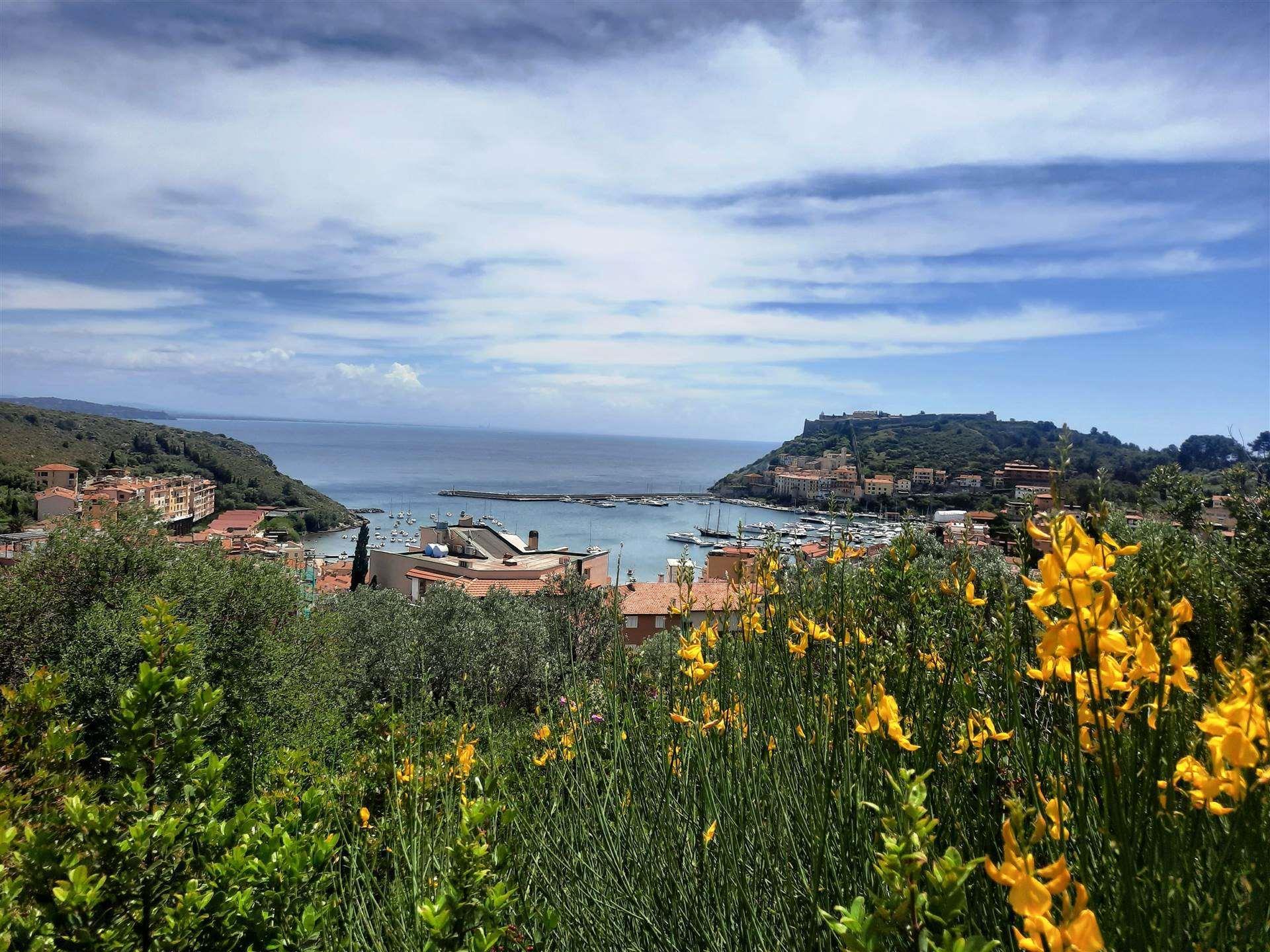 Land - Tuscany - For Sale - A1190tg14015