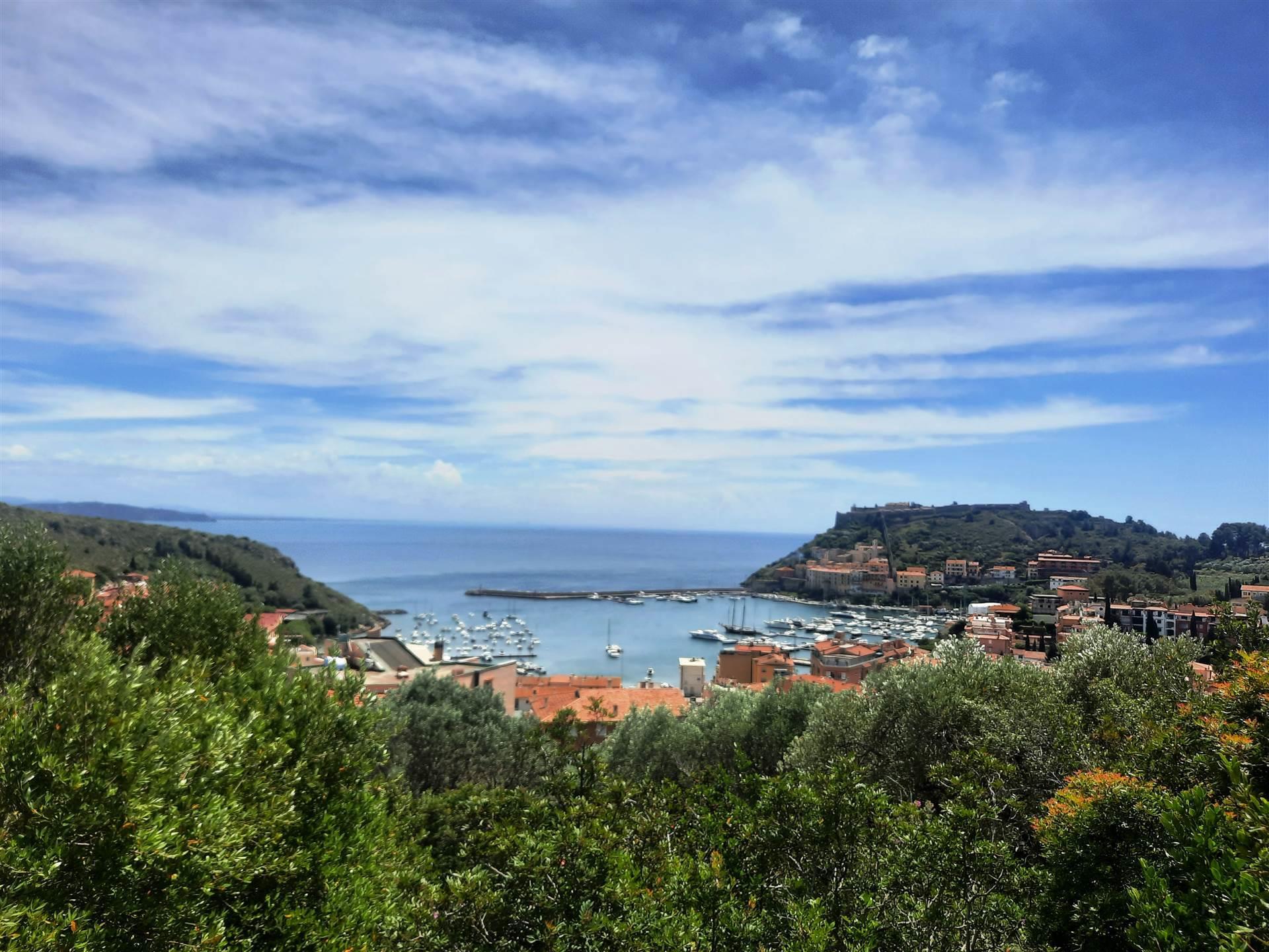 Land - Tuscany - For Sale - A1190tg14015