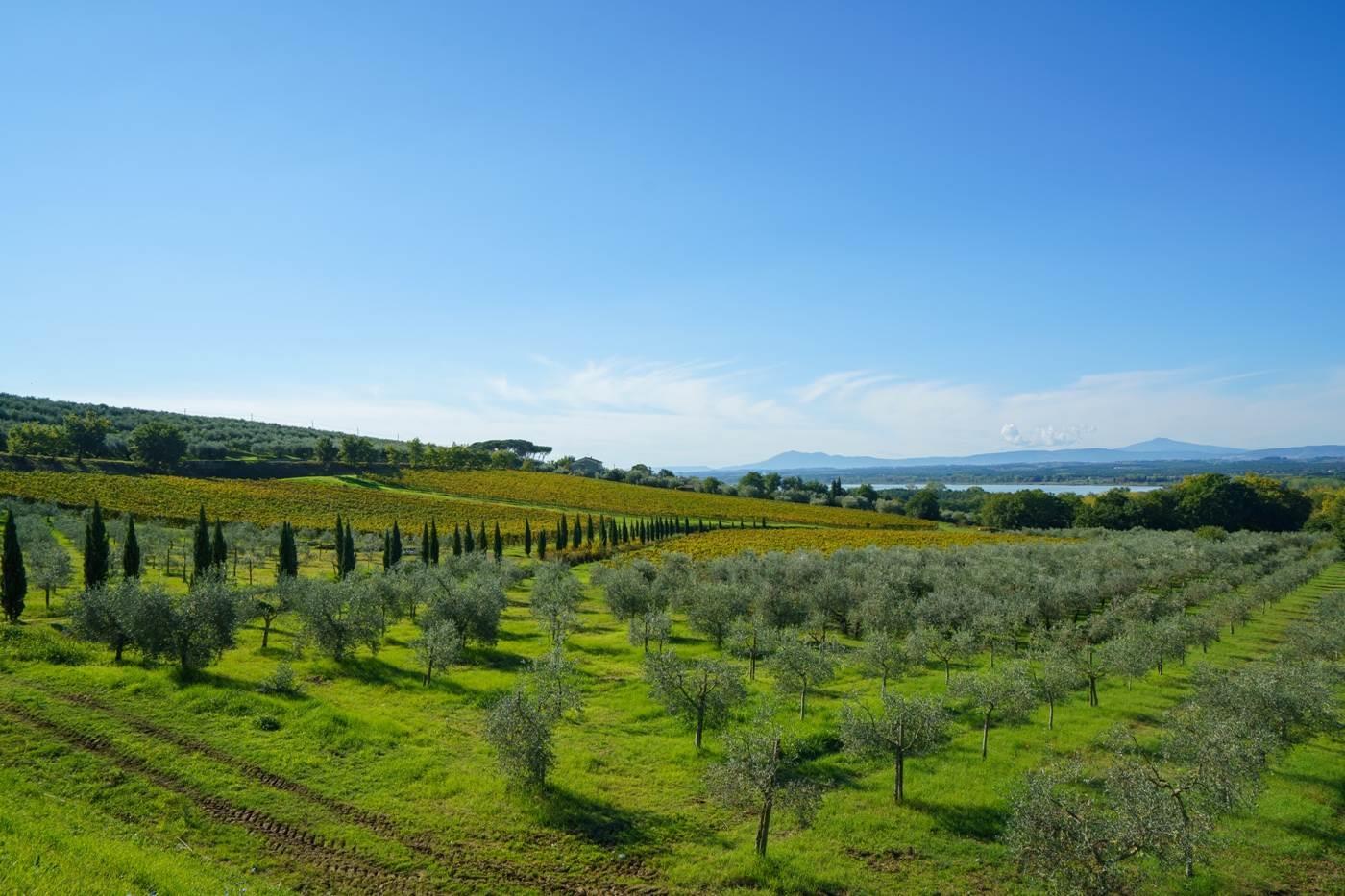 8 Bedrooms - Villa - Umbria - For Sale - A1190rv44052