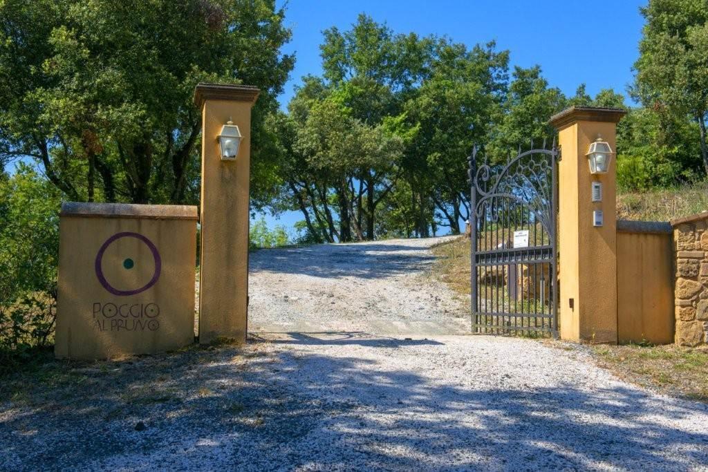 6 Bedrooms - Villa - Tuscany - For Sale - A9591rva