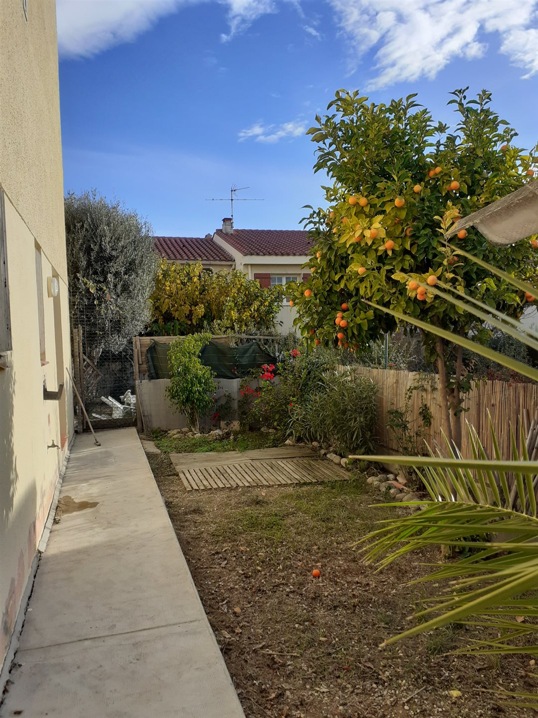 Maison à louer, 35m², Perpignan