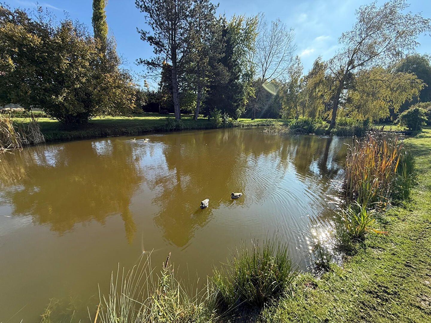 Maison à vendre, 329m², Saint-Ouen-lès-Parey