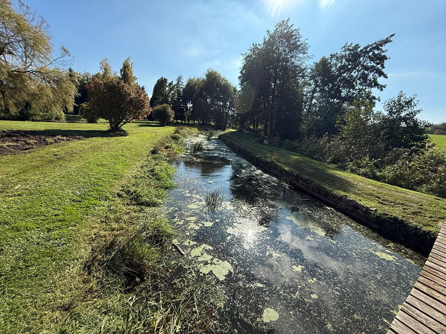 Maison à vendre, 329m², Saint-Ouen-lès-Parey