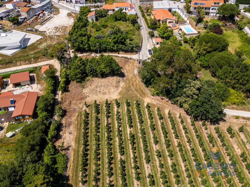 Terreno edificable con vistas panorámicas a las montañas