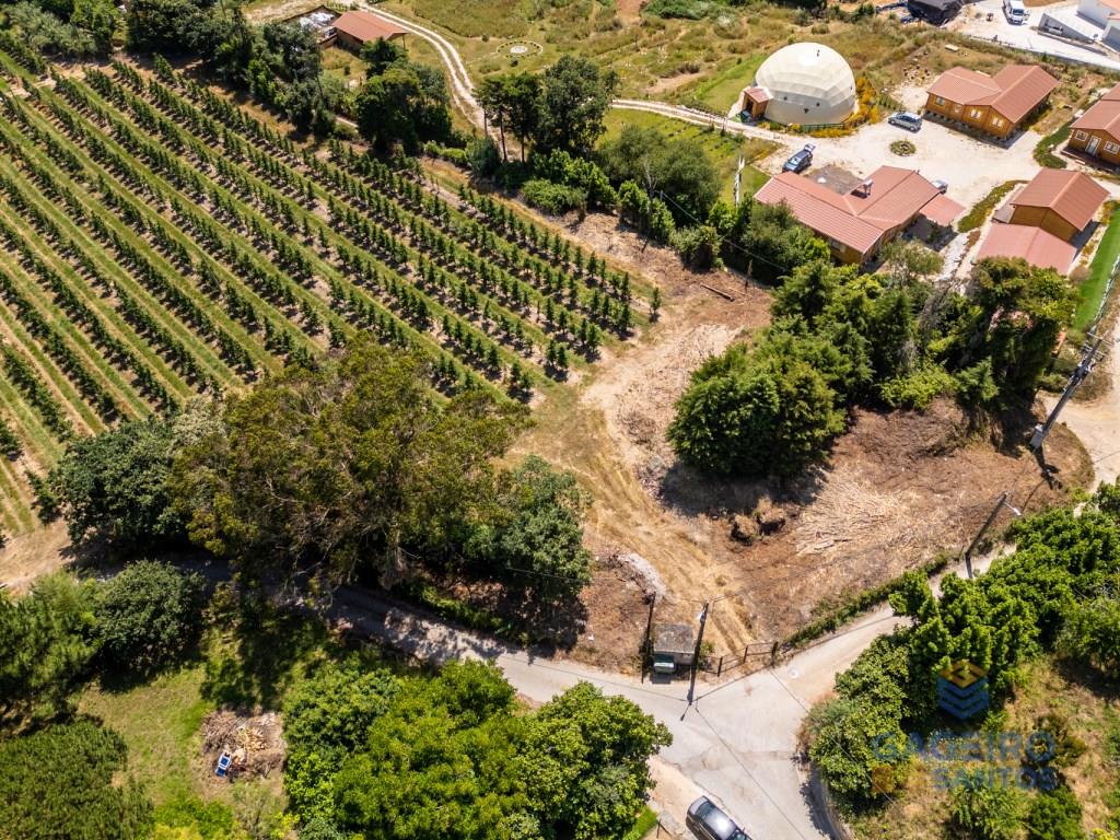 Terreno edificable con vistas panorámicas a las montañas