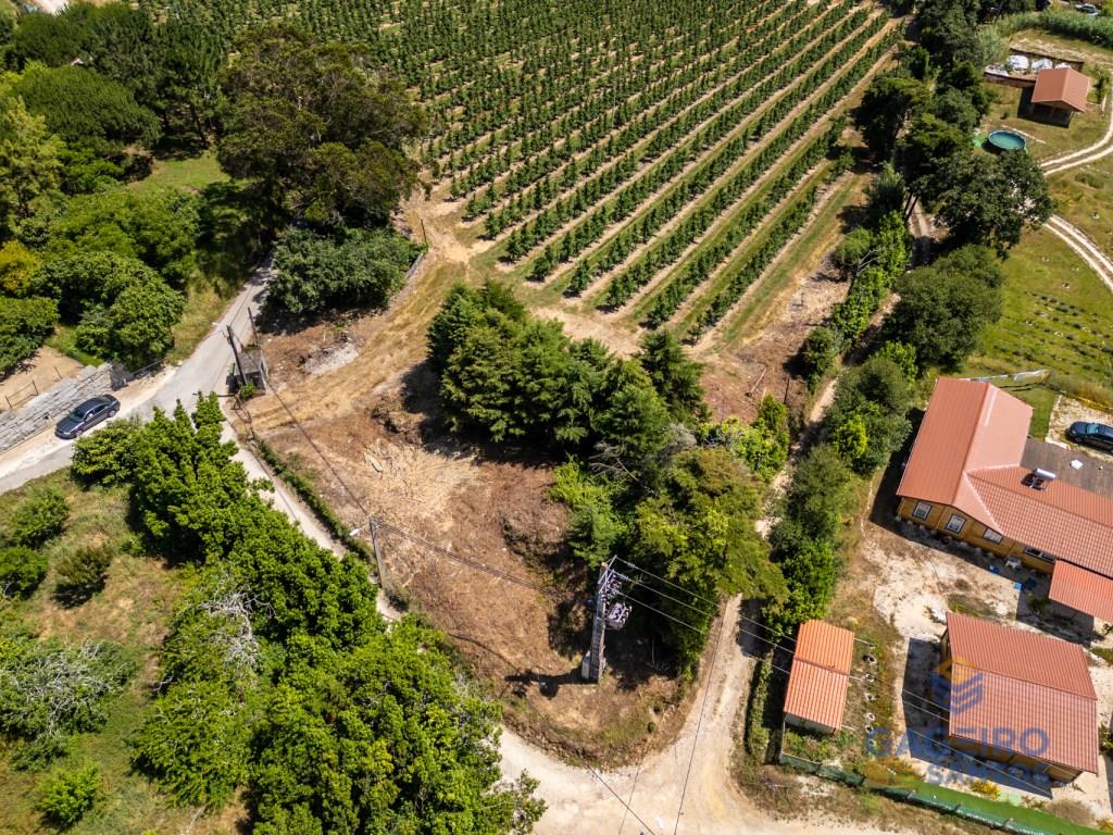 Terreno edificable con vistas panorámicas a las montañas