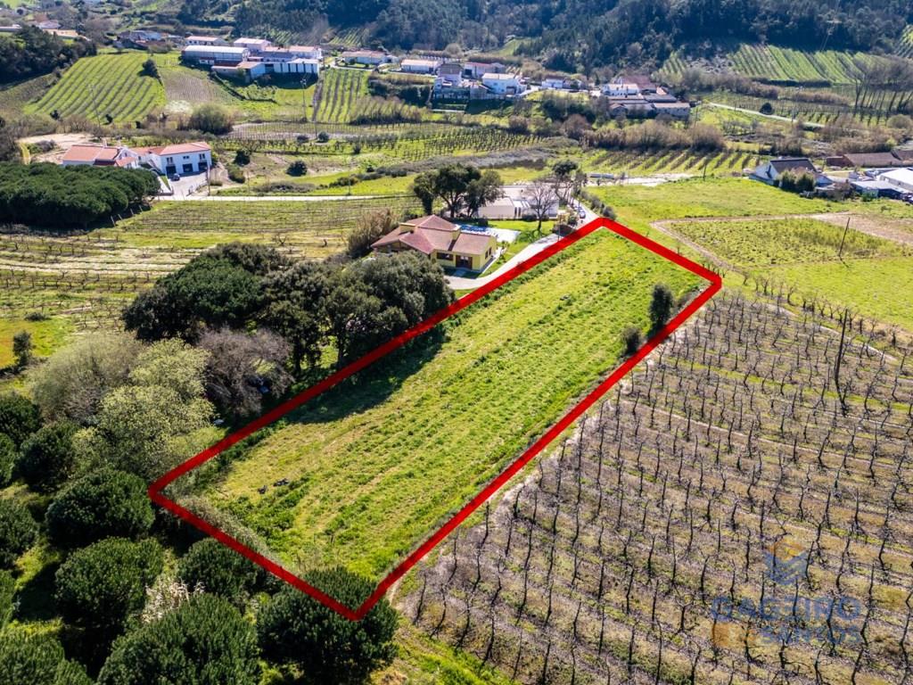 Terreno con Pip Aprobado para la Construcción de Dos Viviendas en Alfeizerão