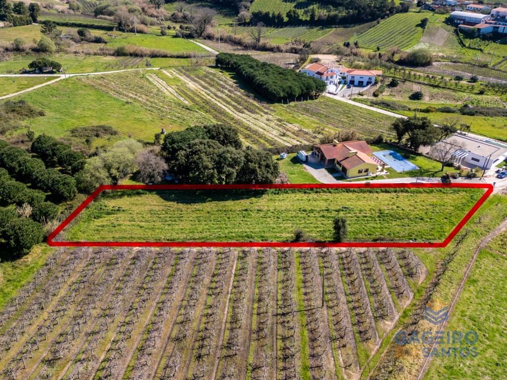 Terreno con Pip Aprobado para la Construcción de Dos Viviendas en Alfeizerão