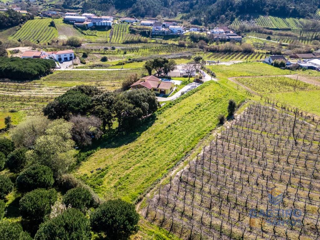 Terreno con Pip Aprobado para la Construcción de Dos Viviendas en Alfeizerão