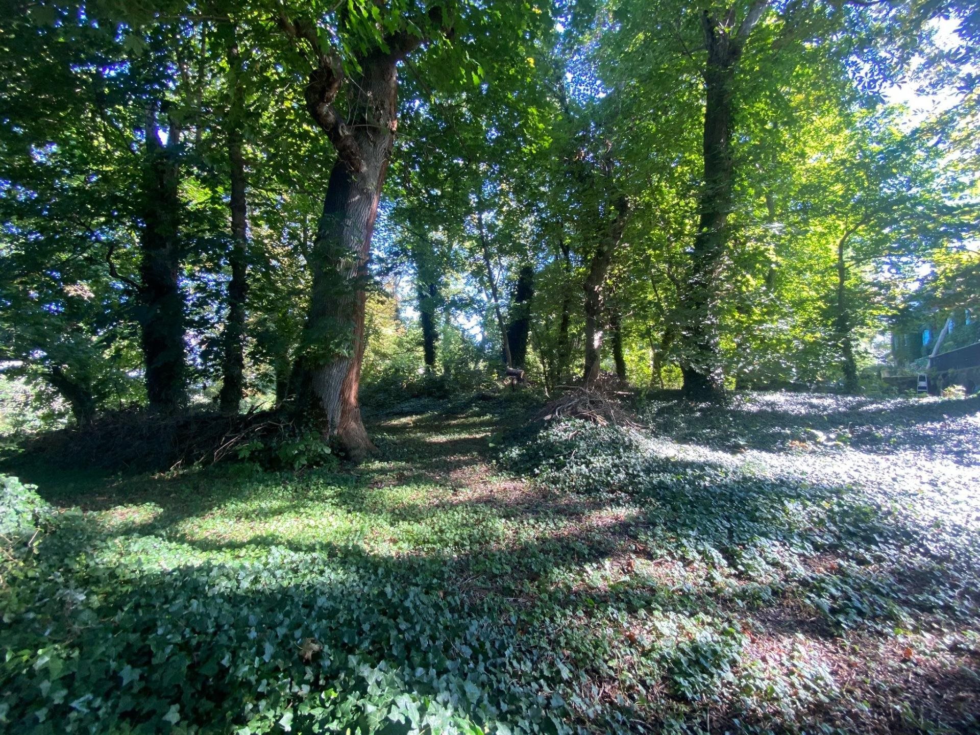 Maison à vendre, 440m², Lapalisse