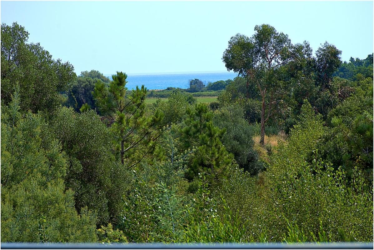 Maison à vendre, 250m², Solaro