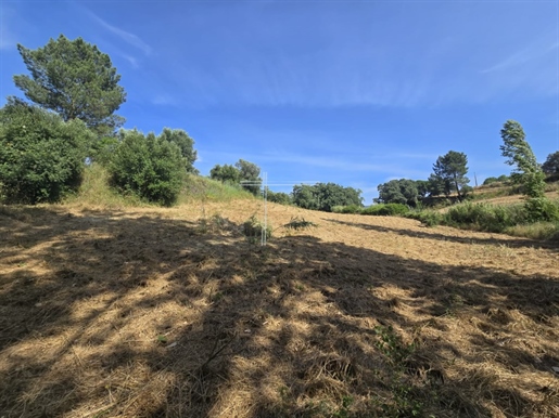 Terreno rustico con 11000m2 - Azeitão