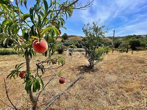 Grundstück im Alentejo mit 11.320 m²