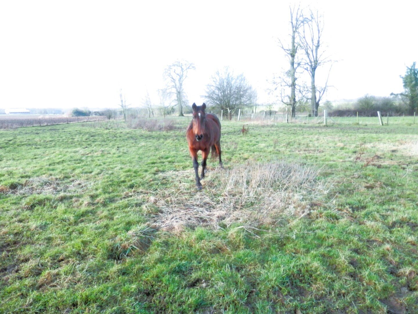 Maison à vendre, 150m², Talmas